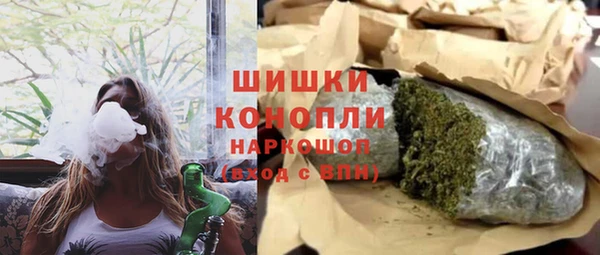 apvp Бикин