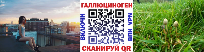 ссылка на мегу ссылка  Калининград  Галлюциногенные грибы Magic Shrooms  где найти  