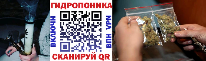 Марихуана план  что такое   Калининград 